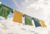 Environmentally friendly prints for clothes